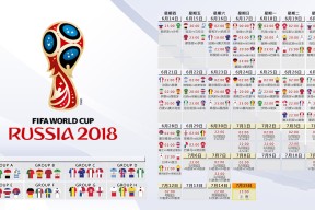 九游9GAME-科维托娃的迷途，从冠军光环到连败阴影，澳洲教练的困局